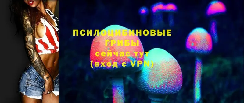 Псилоцибиновые грибы Magic Shrooms  Анжеро-Судженск 